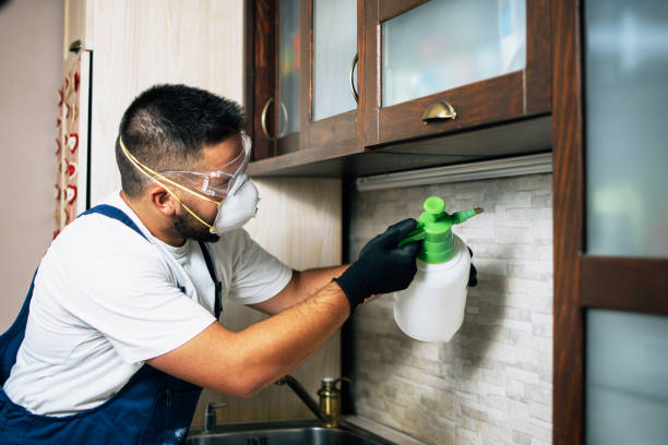 Best Pest Control for Restaurants  in Daleville, IN