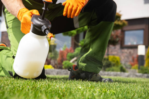 Best Mosquito Control Services  in Daleville, IN