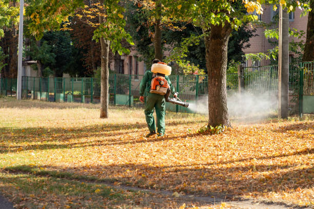 Reliable Daleville, IN Pest Control Solutions