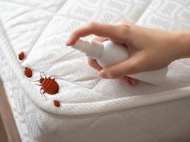 Best Pest Control Near Me  in Daleville, IN