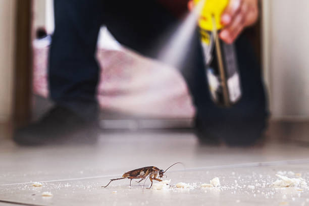 Best Residential Pest Control  in Daleville, IN
