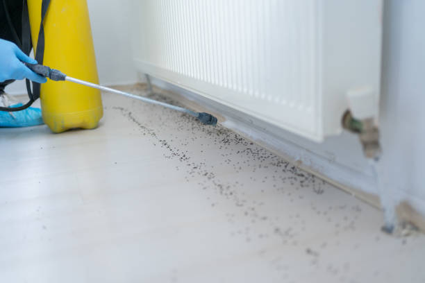 Best Cockroach Control Services  in Daleville, IN