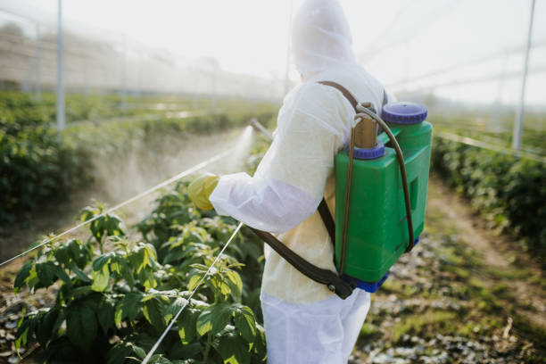 Flea Control Services in Daleville, IN